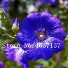 100 seeds Double Hollyhock Flower Bonsai, Mixed Perennial Home