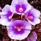 100 seeds Double Hollyhock Flower Bonsai, Mixed Perennial Home Garden