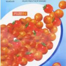 200 seeds Rare Wild Colorful Cherry Tomato Organic Seeds