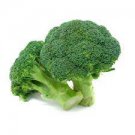 60 seeds Natural Organic Broccoli Vegetable Seeds