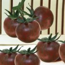 20 seeds Cherokee Cherry Tomato Seeds