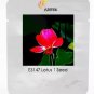 1 seeds Heirloom Super Red Nelumbo Nucifera Lotus Flower Bonsai Seeds