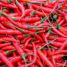 40 Seeds Pod Pepper Thin Red Green Long Chili Vegetable