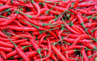 40 Seeds Pod Pepper Thin Red Green Long Chili Vegetable
