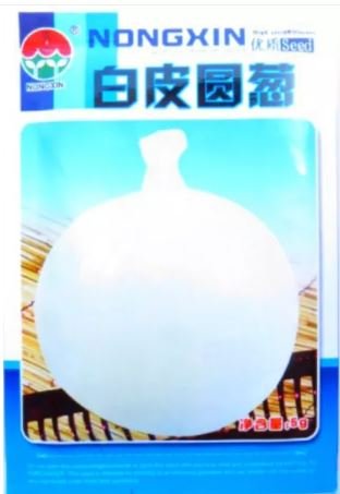 500 seeds Rare Heirloom Big Round White Onion Vegetables Organic Seeds