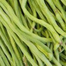 60 seeds American No-bracket Cowpea Seeds, Non-GMO Green Vegetables