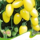 20 seeds Rare Milky Yellow Cherry Tomato Organic Seeds