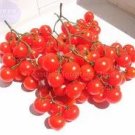 100 seeds Riesentraube Cherry Tomato Seeds