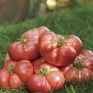 100 seeds Big Brandy Hybrid Tomato Seeds