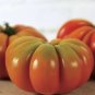 100 seeds New Genuwine Hybrid Tomato Seeds