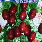 250 seeds Purple Rose Dwarf Tomato Non-gmo Heirloom Fruits
