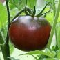 250 seeds Purple Rose Dwarf Tomato Non-gmo Heirloom Fruits