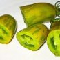 100 seeds Sausage Green Tomato Organic Seeds