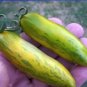 100 seeds Sausage Green Tomato Organic Seeds