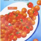 200 seeds Rare Wild Colorful Cherry Tomato Organic Seeds