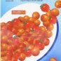 200 seeds Rare Wild Colorful Cherry Tomato Organic Seeds