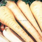 100 seeds White Gem Parsnip Carrot Vegetables