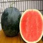 20 seeds Yellow / Black Skin Watermelon with red meat