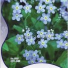 60 seeds Blue Myosotis Sylvatica Forget-me Flower Seeds