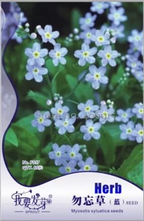 60 seeds Blue Myosotis Sylvatica Forget-me Flower Seeds