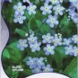 60 seeds Blue Myosotis Sylvatica Forget-me Flower Seeds