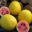 10 seeds,Golden Midget Small Watermelon yellow skin melon with red meat