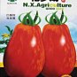 Approx 300 Seeds Colorful F2 Big Tomato Seeds, 1 Original Pack, , Rare Tasty Tomato Fruits