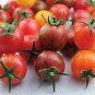 Approx 300 Seeds Colorful F2 Big Tomato Seeds, 1 Original Pack, , Rare Tasty Tomato Fruits