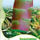 30 seeds Heirloom Red Skin Asparagus Lettuce Vegetables