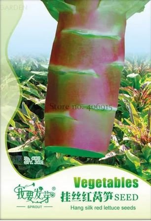 30 seeds Heirloom Red Skin Asparagus Lettuce Vegetables
