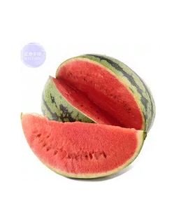 20 seeds Big Pink Watermelon Improved Seeds
