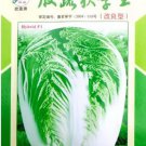 10 seeds Chinese Cabbage Autumn Vegetables Seeds