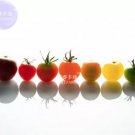 100 seeds Mixed 10 Varieties of Colorful Cherry Tomato Seeds