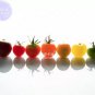 100 seeds Mixed 10 Varieties of Colorful Cherry Tomato Seeds