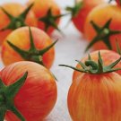 100 Seeds Sunrise Bumble Bee Tomato Sweet Tangy Fruit Seeds