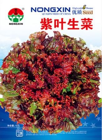 200 Seeds Red Iceberg Lettuce Heirloom Organic Seeds