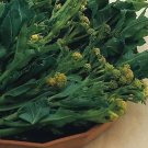 120 Seeds Broccoli Early White Sprouting Green Vegetable Seeds