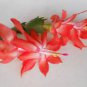 100 seeds Schlumbergera Flores Christmas Cactus Plant Seeds Rose Red White Flowers