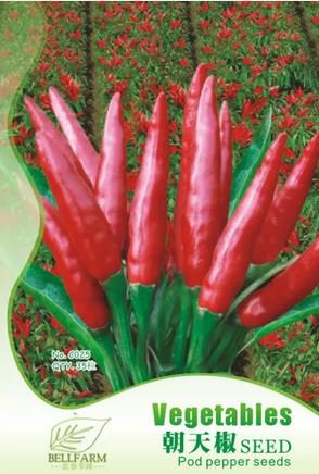 35 seeds Red Hot Cayenne Pepper Seeds Bonsai