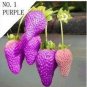 100 seeds Purple Strawberry easily grow in garden potting