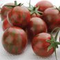 100 seeds Artisan Purple Bumblebee Cherry Tomato, organic edible tomato