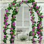 50 seeds Rare Dabai Mountain Purple Climbing Plants