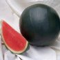 40 seeds Heirloom Black Skin Red Elliptical Seedless Watermelon Fruits