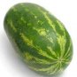 70 seeds Lanzhou P2 Big Green Watermelon Seeds