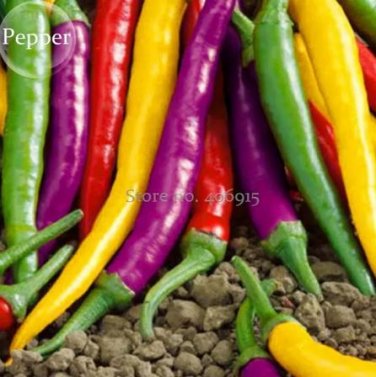 50 seeds Mixed Colorful Hot Colorful Pod Pepper Chili