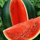 20 seeds Sugar Baby 'Tangig' Black Watermelon Seeds