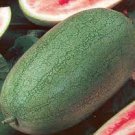 20 seeds Charleston Grey Giant Long Watermelon Seeds