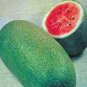 20 seeds Charleston Grey Giant Long Watermelon Seeds