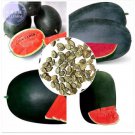 30 seeds Black Skin Long Red Watermelon Seeds