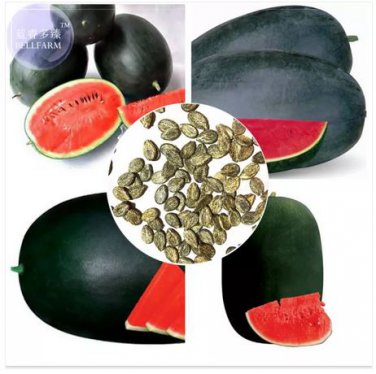 30 seeds Black Skin Long Red Watermelon Seeds